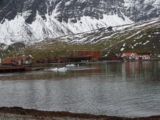 33681232320_b7463122c7_n.jpg