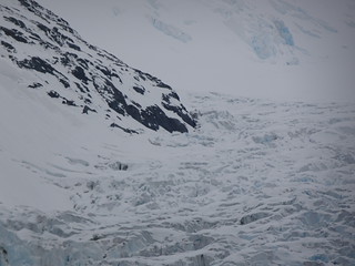 33541566822_d1d855b869_n.jpg