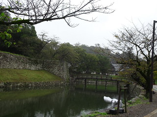 44973716392_89977e2bd4_n.jpg