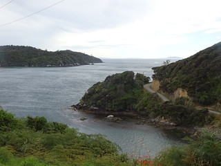 47046040302_d779048b74_n.jpg
