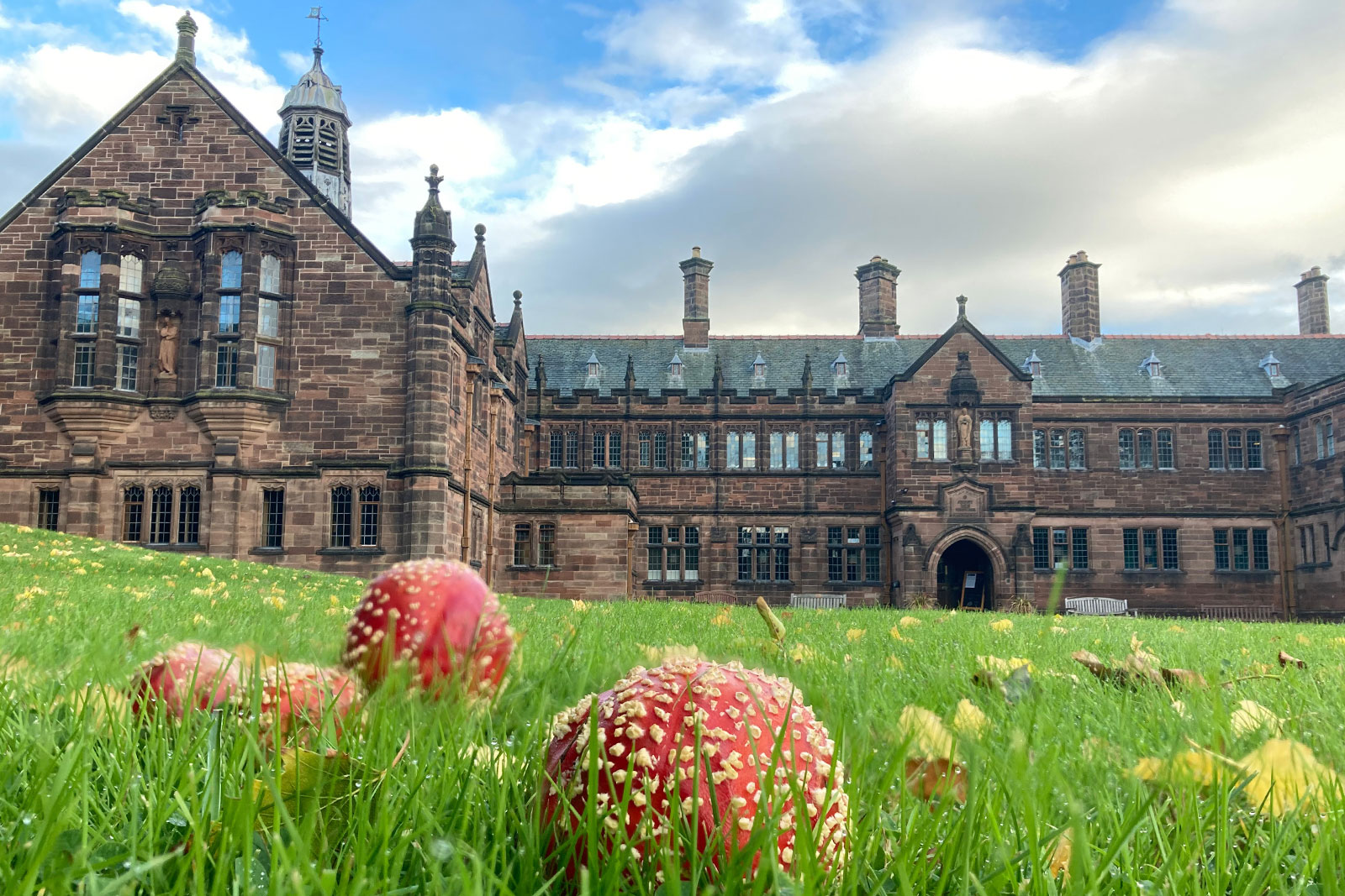 www.gladstoneslibrary.org