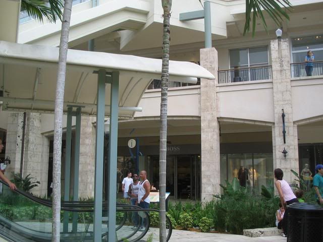 IMG_3914.jpg
