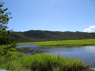 43163826895_b3984584f3_n.jpg
