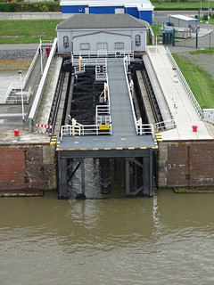 29504923815_10cdce67f5_n.jpg