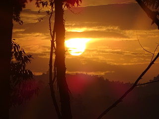 33348617554_376e977a81_n.jpg