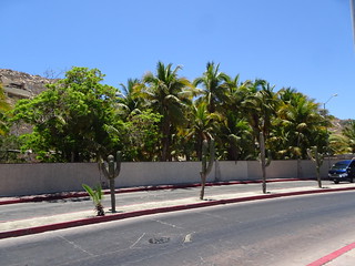 40357467080_9fa4141b3b_n.jpg