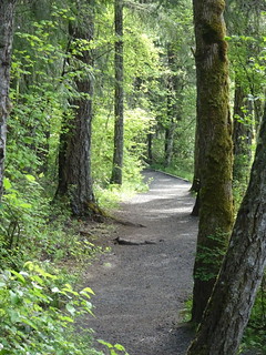 42316539492_5053c52e42_n.jpg