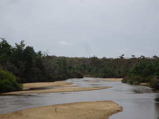 45963322324_82c3e688fe_n.jpg