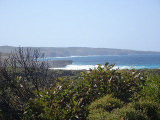 37108606396_477f4ed89e_n.jpg
