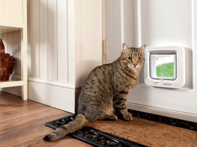 www.surepetcare.com