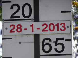 45537395762_f50317dd22_n.jpg