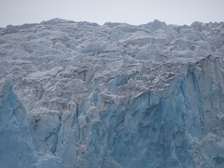 33700404745_69912496c6_n.jpg