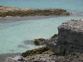 27784550538_d9786b19a4_n.jpg