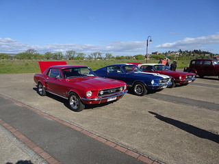 37412080500_e462542353_n.jpg