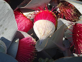 30558319333_8f0c0f3873_n.jpg