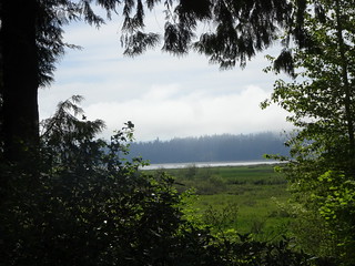 41642026574_5e2642cb0d_n.jpg