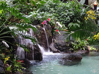 24807224977_a3e2234381_n.jpg