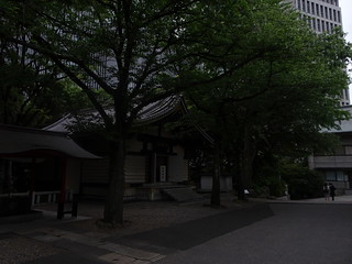 42556766201_5088c5b254_n.jpg