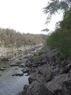 37170803760_237fa8e6d3_n.jpg