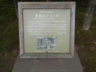 44753202192_4115eaca3a_n.jpg