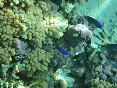DSC00340.JPG
