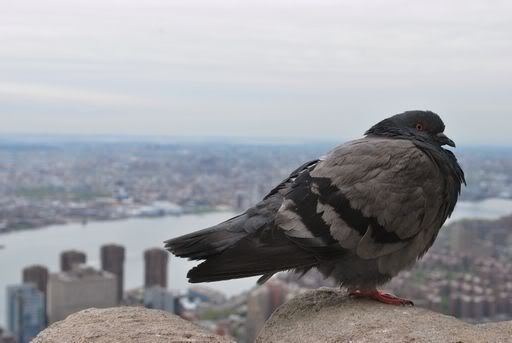 ac_DSC_2828.jpg