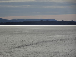 40102258763_d01d81d1eb_n.jpg