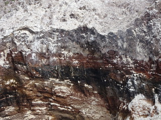 41700039941_f993247413_n.jpg