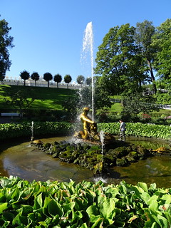 29108412562_b0cb8c99f7_n.jpg