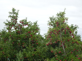 47243566191_67a2c3deb0_n.jpg