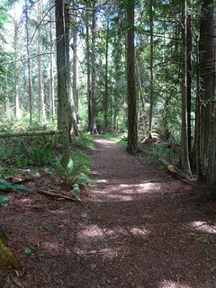42387501251_c0aac9f9eb_n.jpg