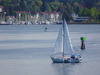 28537063438_2cca7ee015_n.jpg