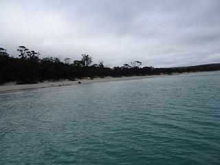 38400558486_0688a4ac75_n.jpg