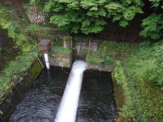 44643279002_1a4dfcde19_n.jpg
