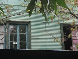 33190253300_cb387c35cc_n.jpg