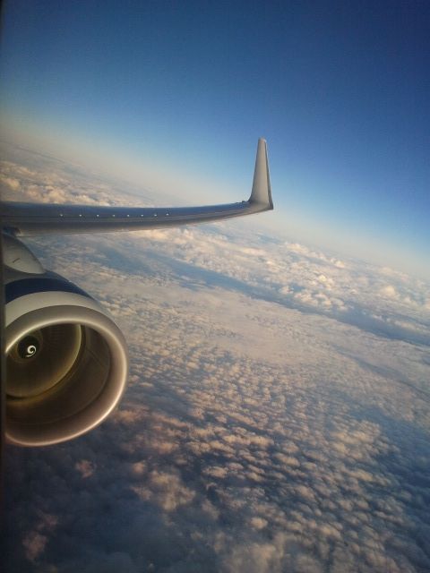 2012-07-26071024.jpg