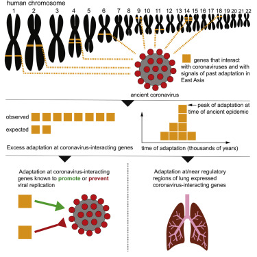 www.sciencedirect.com
