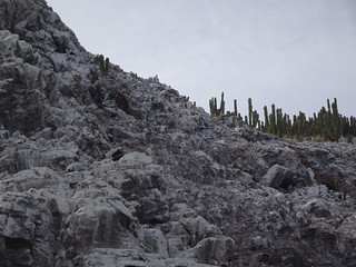 40985306574_713b197d63_n.jpg