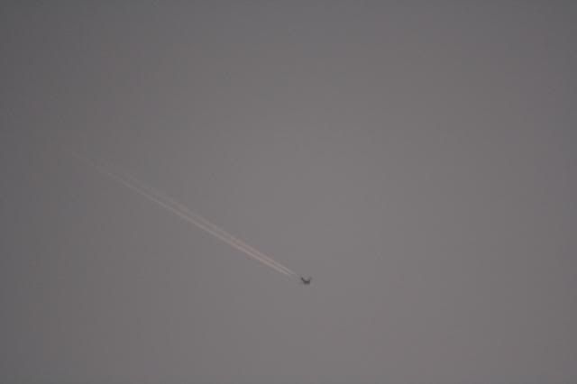 IMG_0360.jpg