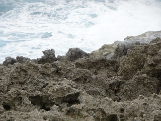 44411908404_71ab0e069f_n.jpg