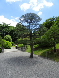 28682870268_2072d342e5_n.jpg