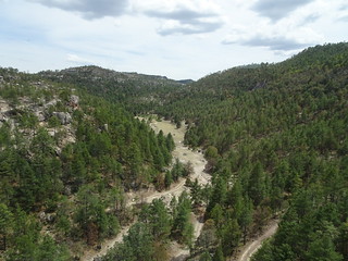 40250001190_9aac5c0181_n.jpg