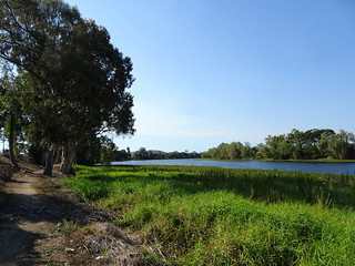 29867054788_d2cbd464f7_n.jpg