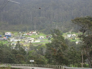 24130147578_4b34d832c2_n.jpg