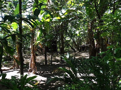 DSC01435.JPG