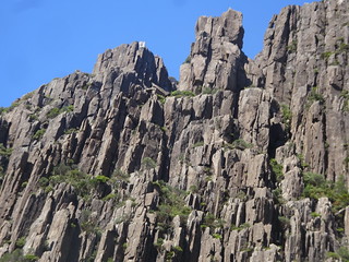 46717936491_16830e0a55_n.jpg