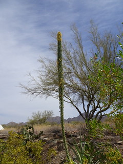 40862676654_5fe7281704_n.jpg