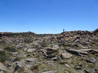 46717796211_f06e984dbb_n.jpg