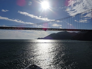 41609411904_fab2bf5d26_n.jpg