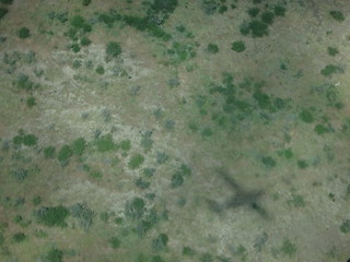 33353264504_a20ac8cfb9_n.jpg